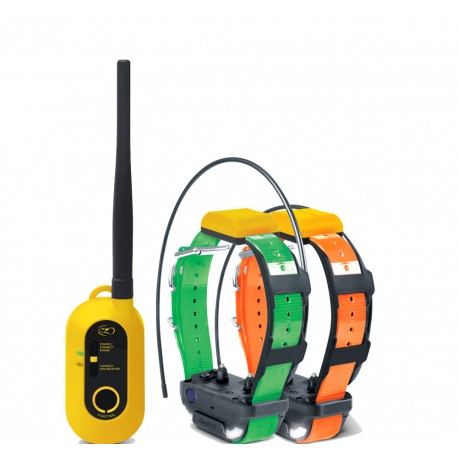 Collier GPS Dogtra Pathfinder2 avec 2 colliers et 1 connecteur