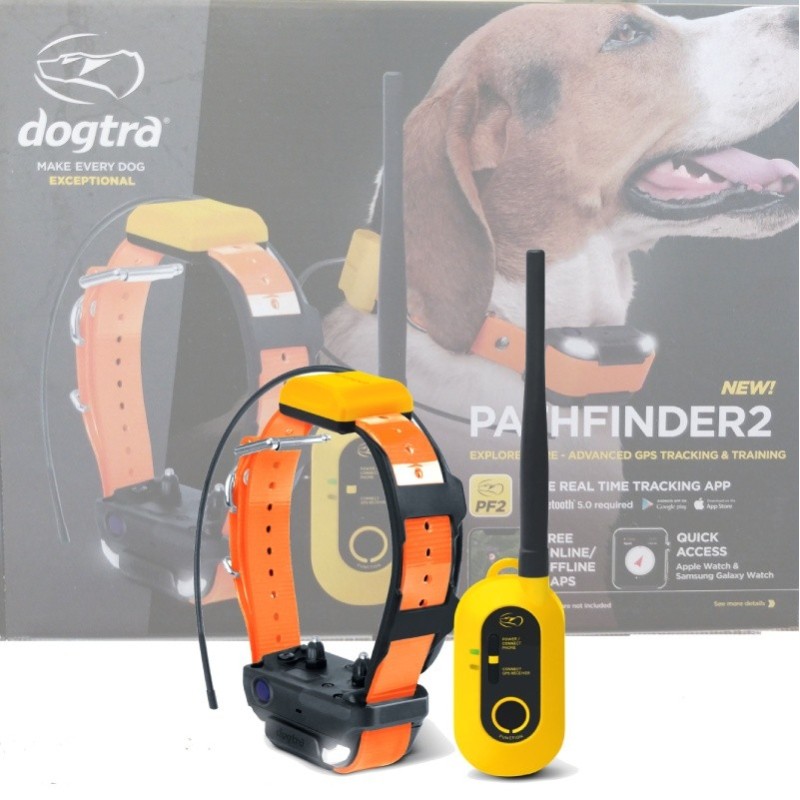 Best gps e collar best sale